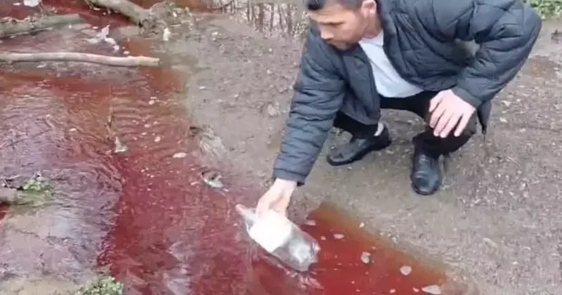 İstanbul’un içme suyunda korkutan manzara: Kırmızı renkte ve köpüklü!