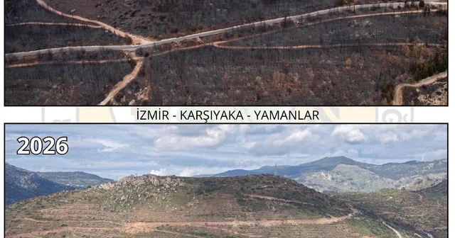 Orman yangını ile zarar gören Yamanlar, yeniden yeşile bürünüyor İzmir Haberleri