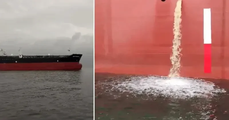 Yalova açıklarında gemiye suçüstü: Valilik Gereği yapıldı dedi, cezayı kesti Yalova Haberleri