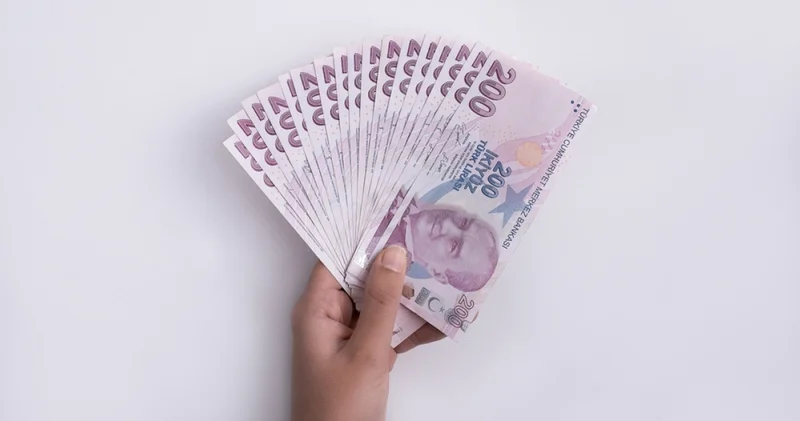 Vatandaşlık maaşı hangi illerde başlayacak, kimler alabilecek, gelir modeli belli oldu mu, herkese eşit ödeme mi yapılacak?