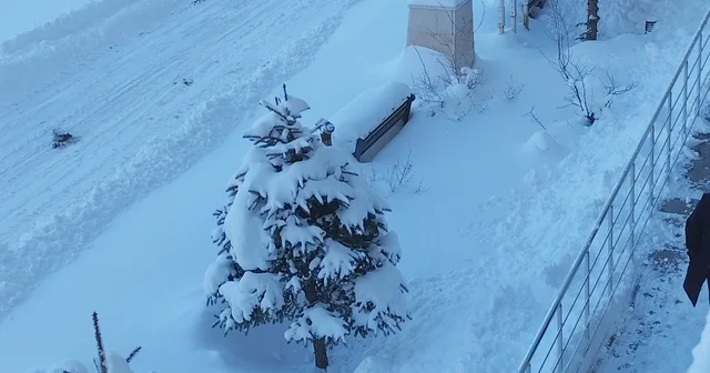 Erciş te kar yağışı Van Haberleri