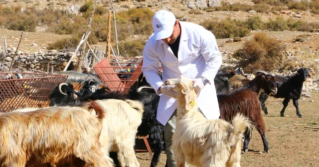 Büyükşehir Çoban Haritası Projesi ile 508 çobana destek oldu Antalya Haberleri