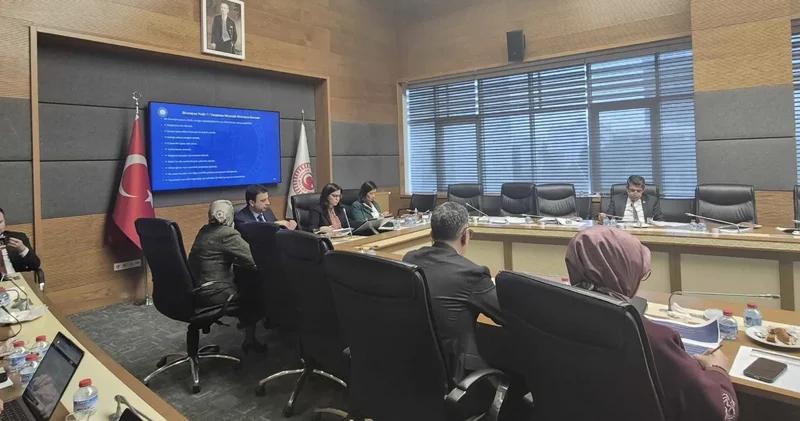 TBMM Suça Sürüklenen Çocuklar Komisyonu nda akademisyenlerden sunum: Belli bir olay üzerinden suça yönelik cezanın yükseltilmesi refleksi doğru değil