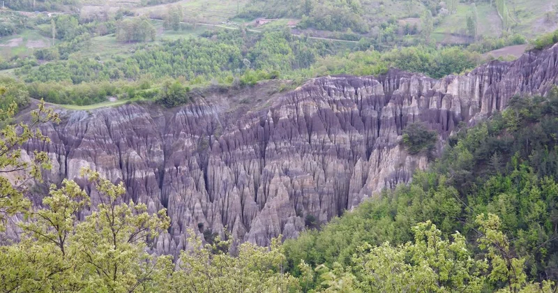 Türkiye de korunan alan sayısı 692 ye yükseldi