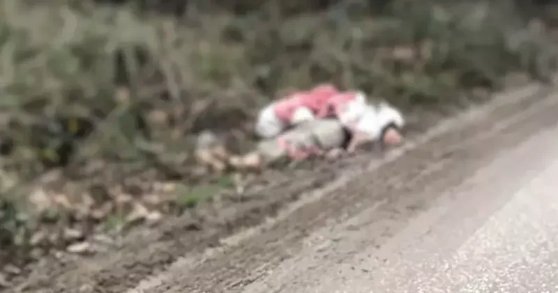 TIR’la getirilip, köye bırakılan düzensiz göçmenler yakalandı; 1 göçmen hipotermiden öldü