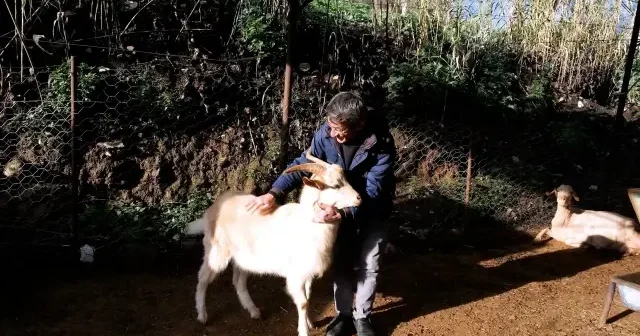 Bakan Kurum Ödemişli Cavit Amca’nın yeni heyecanını paylaştı: Ben rüyamda görsem inanmazdım VİDEO İZLE