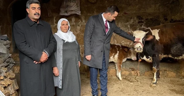 Kaymakam Kaya dan üretici anneye umut olan destek Mardin Haberleri