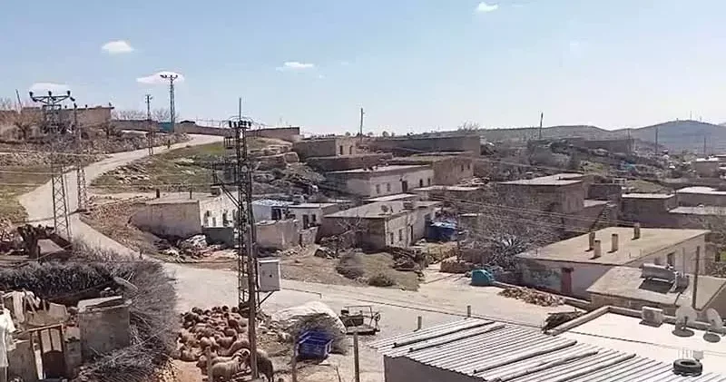 İnekteki kuduz şüphesi nedeniyle mahalle karantinaya alındı