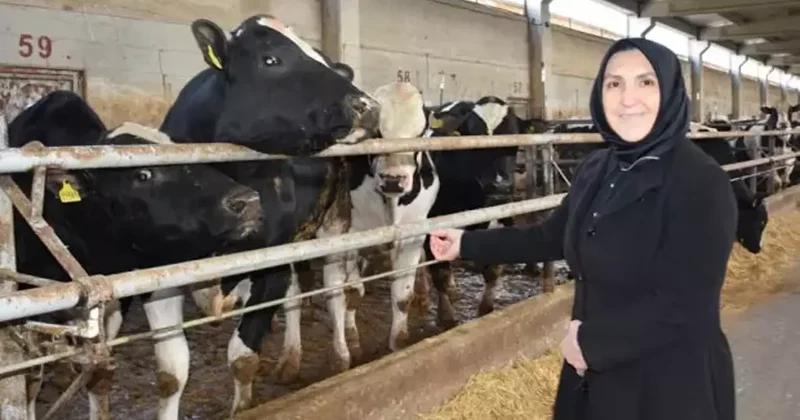 Ev hanımıyken devlet desteğiyle 900 hayvanın bulunduğu çiftliğin sahibi oldu