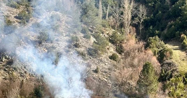 Arazisinde otları temizlik amaçlı yaktı, vatandaş orman yangını ihbarında bulundu Bilecik Haberleri