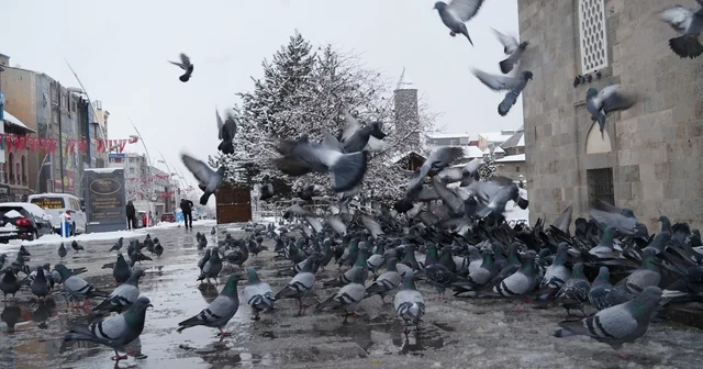 Meteorolojiden çığ, don ve buzlanma uyarısı Erzurum Haberleri