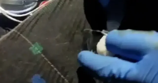 Yozgat’ta sentetik ecza hap ve metamfetamin ele geçirildi VİDEO İZLE