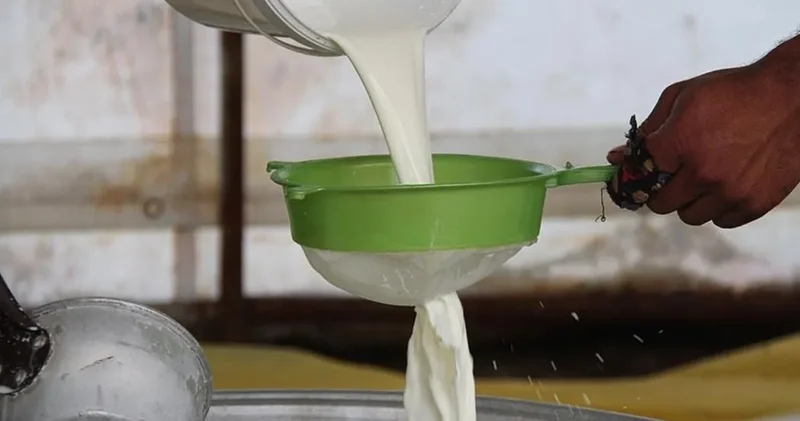 Süt Üreticisinin cüzdanı yanıyor: Maliyetler fırladı