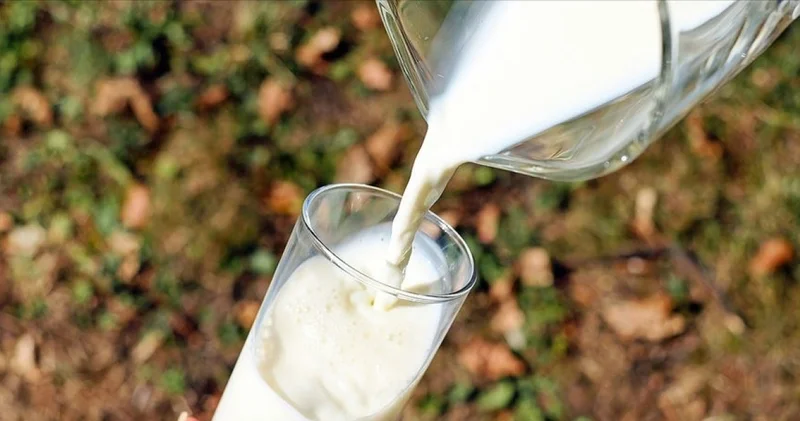 TÜSEDAD: Çiğ süt üretim maliyeti şubatta 27,64 TL ye çıktı Alışveriş Haberleri