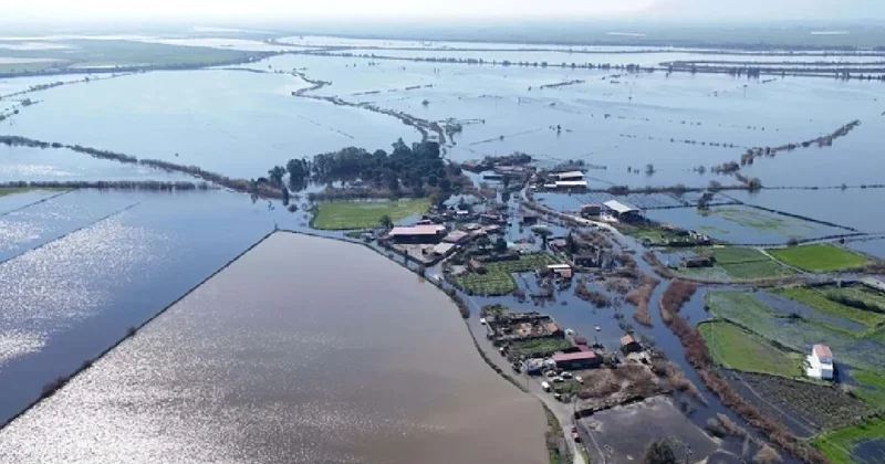 Tarım arazileri sular altında kaldı: Flamingolar akın etti Sözcü Gazetesi