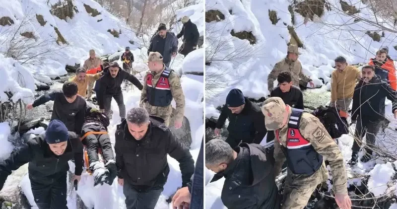 Kayıp vatandaş donmak üzereyken Hasköy dağlarında bulundu Bitlis Haberleri