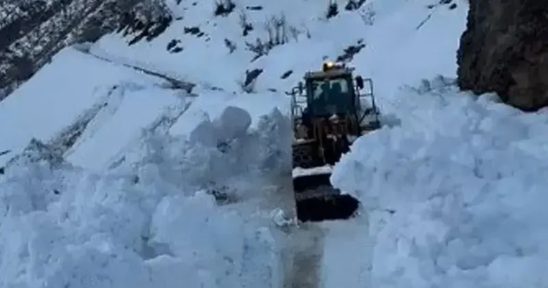 Bitlis te köy yoluna çığ düştü