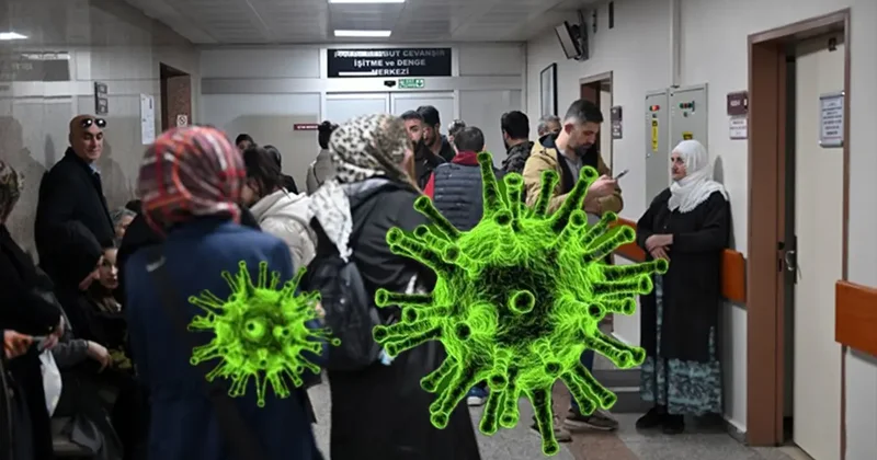 Yıl sonunda pik yapmıştı: Domuz gribi vakalarında yeniden artış!