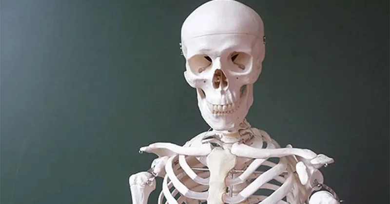 Küresel iklim krizi insan kemiklerini eritiyor