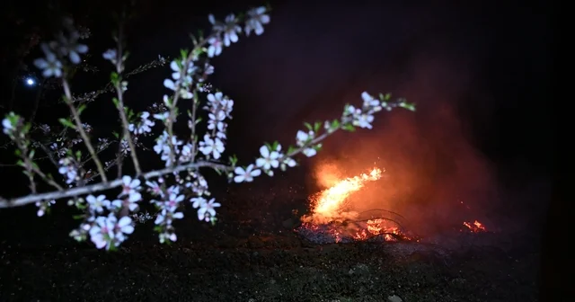 Manisa da don nöbeti Badem bahçelerinde ürericiler don olayına karşı gece mesaisinde Manisa Haberleri