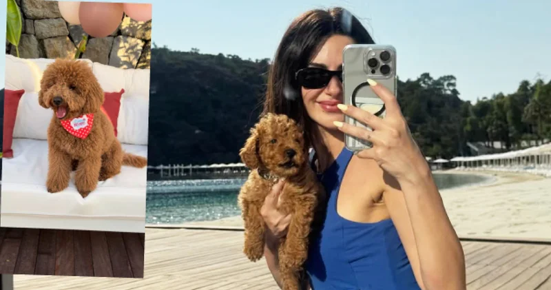 Nesrin Cavadzade, köpeğine doğum günü partisi düzenledi Magazin haberleri