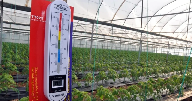 Tarım ve Orman Bakanlığı zirai don riskine karşı teyakkuzda İş Yaşam Haberleri