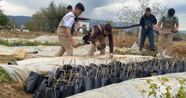 Liselilerden bölge tarımına büyük katkı Manisa Haberleri