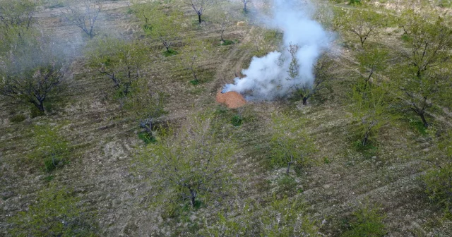 Manisa da üreticilerden zirai don nöbeti; badem ağaçlarına dumanlı koruma Manisa Haberleri