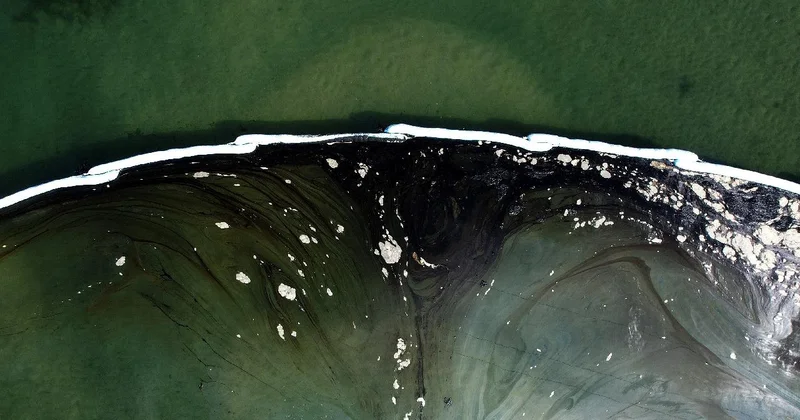 Belçika nın Anvers Limanı nda petrol sızıntısı gemi trafiğini durdurdu