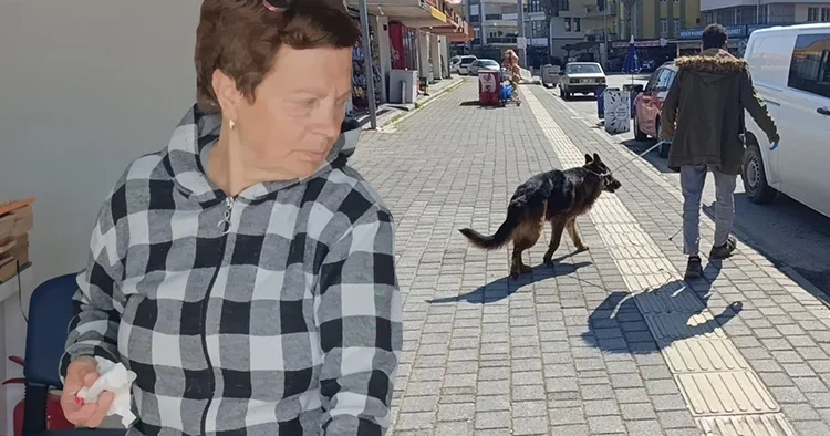 Alman kurduyla dalaşan köpek, kendisini tutan sahibinin parmağını parçaladı