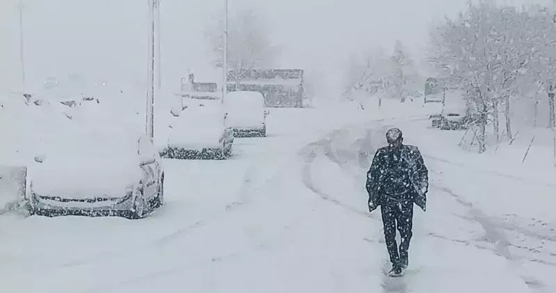 Bitlis te 84 yerleşim yeri, ulaşıma kapandı