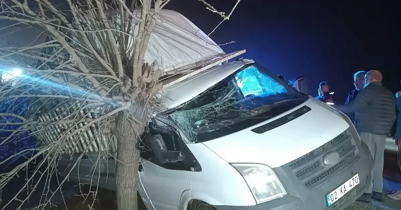 Kamyonet şarampolde ağaca çarptı: 1 yaralı