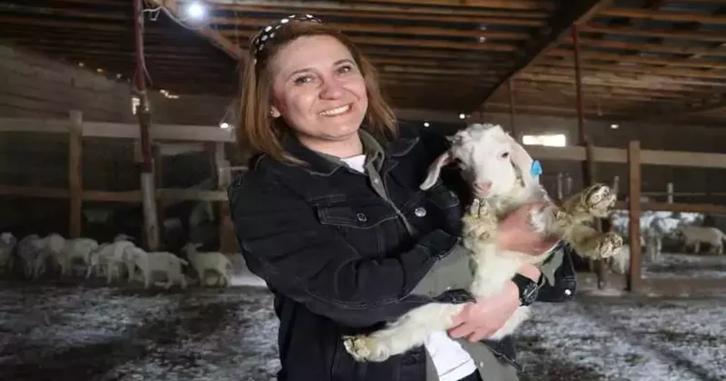 Aldığı devlet desteğiyle 300 keçiyi 1300 keçiye çıkarttı