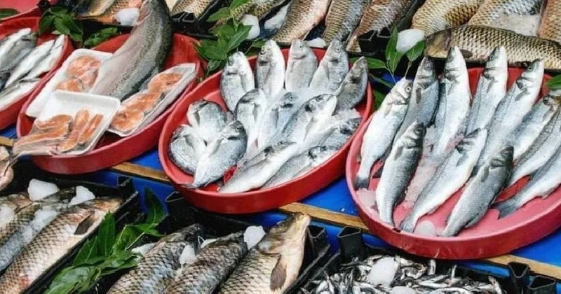 Balık yiyen herkesi ilgilendiriyor: Bu türleri yerken iki kere düşünün Sözcü Gazetesi