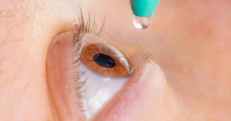 Domuz sperminden yapılan göz damlası agresif kanseri durdurdu Sözcü Gazetesi