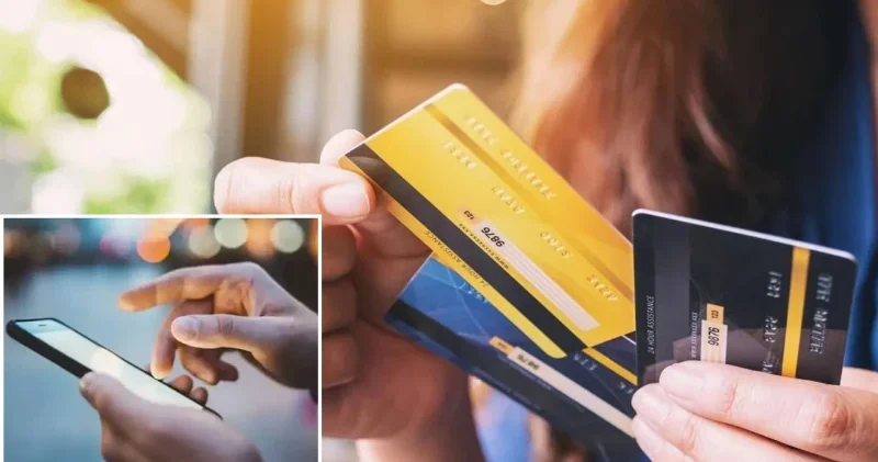 IBAN tuzağına yargı freni: “Hayvan bedeli” açıklaması planı ortaya çıkardı Gündem Haberleri