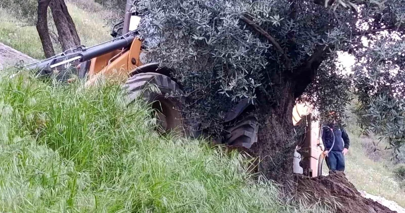 Kaçak Kazı Faciası: Bir Kişi Hayatını Kaybetti