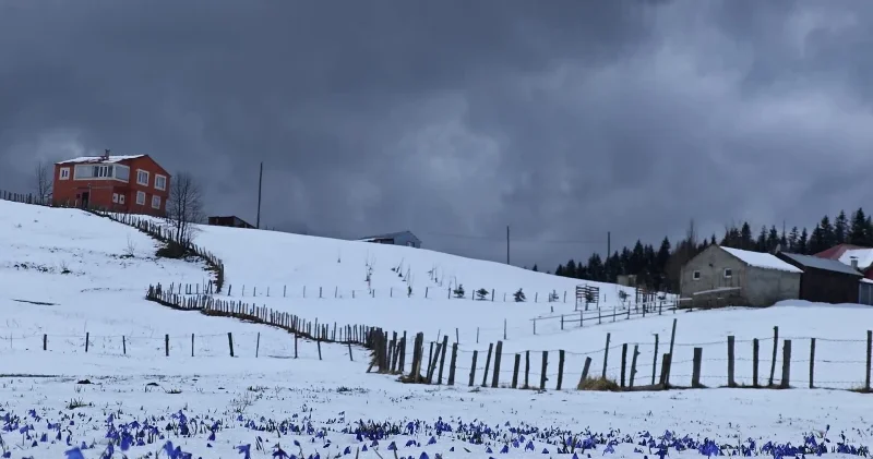 Nisan ortasında kış manzaraları Aktüel Haberleri