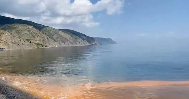 Marmara da deniz suyundaki renk değişiminin altından planktonlar çıktı