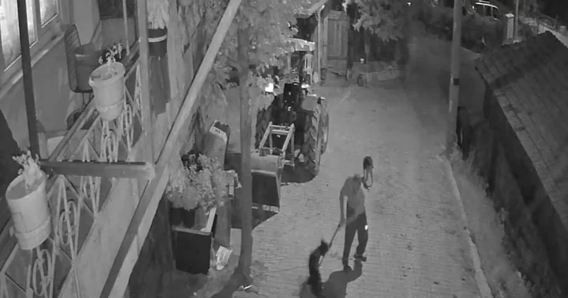 Köpeği demir çubukla acımasızca öldüren cani tutuklandı Sözcü Gazetesi
