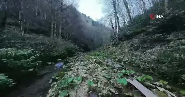 İstanbul un yanı başındaki doğa harikası