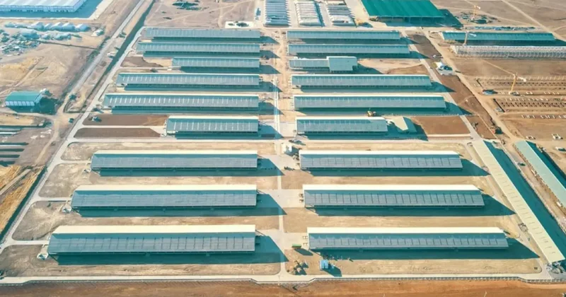 Bir fabrikanın ötesinde: Bingöl de yeni bir ekonomik ekosistem doğuyor