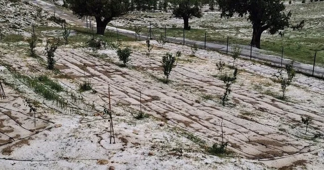 Mersin Erdemli de dolu tarım alanlarına zarar verdi Mersin Haberleri