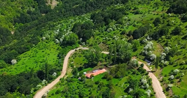 Yozgat Şebek Geçidi yeşile büründü: Doğal güzellik dronla görüntülendi VİDEO İZLE