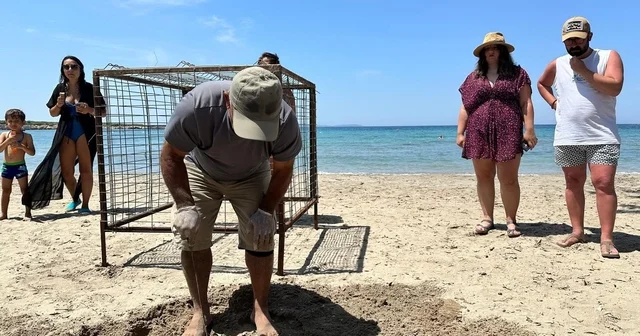 Aydın da yılın ilk Caretta Caretta yuvası tespit edildi Aydın Haberleri