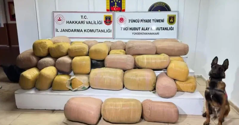 Hakkari de zehir tacirlerine JİHA destekli operasyon