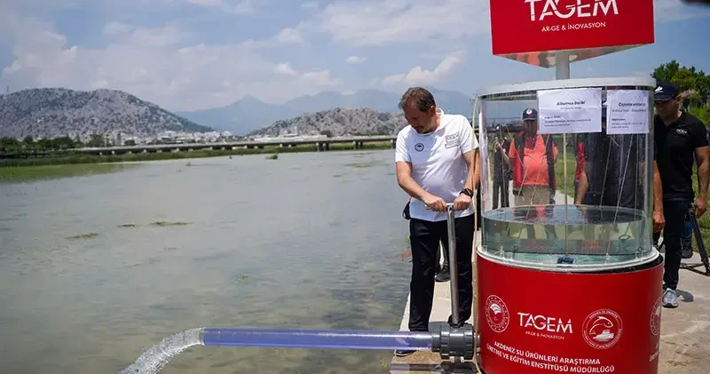 Yok olmanın eşiğinden dönen 2 endemik tür balığın yavruları suyla buluşturuldu
