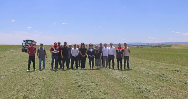 Edirne de mera ıslahının ardından ilk biçim gerçekleştirildi Edirne Haberleri