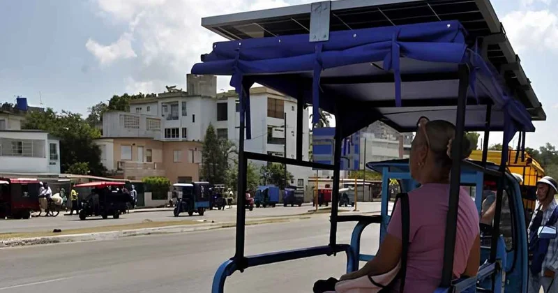 Devletin yapmadığını 21 yaşındaki genç yaptı: Kapış kapış gidiyor Sözcü Gazetesi