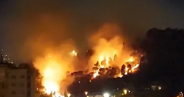 İzmir’de otluk alanda yangın: Rüzgarın etkisiyle yayıldı VİDEO İZLE
